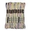 10 Skeins 6-Ply Polyester Embroidery Floss OCOR-K006-A08-1