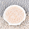 6/0 Glass Seed Beads SEED-N008-07L-2