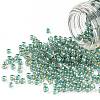 TOHO Round Seed Beads SEED-XTR11-0953-1