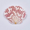 Beautiful Beach Sea Shells X-DIY-WH0044-01-2