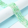 Natural Chrysoprase Beads Strands G-F748-X01-03A-2