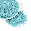 Glass Seed Beads SEED-A011-3mm-154-1