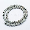 Natural Sesame Jasper/Kiwi Jasper Beads Strands G-I199-29-12mm-2
