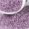 MIYUKI Round Rocailles Beads X-SEED-G008-RR3509-1