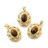 Natural Tiger Eye Pendants G-K381-01G-03-1