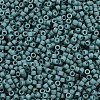 MIYUKI Delica Beads X-SEED-J020-DB2407-2