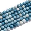 Natural Gemstone Beads Strands G-L367-01-8mm-4