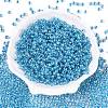 6/0 Transparent Inside Colours Glass Seed Round Beads SEED-N006-004D-2
