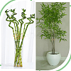 Iron Planters AJEW-WH0270-702-5
