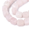Natural Rose Quartz Beads Strands G-Q608-10O-4