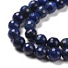 Dyed Natural Lapis Lazuli Beads Strands G-E571-16B-4