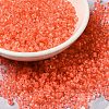 6/0 Transparent Glass Seed Beads SEED-F003-03A-11-1