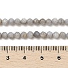 Natural Freshwater Shell Dyed Beads Strands SHEL-R100-12A-04-4