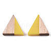 Translucent Resin & Wood Cabochons LS-CRES-N028-001A-A07-2