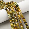 Natural Banded Agate Beads Strands G-F790-I01-01S-1