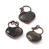 Natural Labradorite Big Pendants G-D483-10AB-1