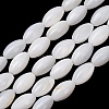 Natural Freshwater Shell Beads Strands SH-CBA2978-11-1