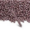 TOHO 8/0 Round Beads X-SEED-TR08-0133-3