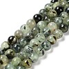 Natural Prehnite Beads Strands G-P322-48-10mm-01-1