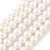 Shell Pearl Bead Strands X-BSHE-L026-03-6mm-2