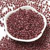 Transparent Glass Round Seed Beads SEED-B001-05A-21-2