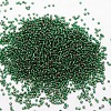 8/0 Transparent Glass Round Seed Beads X-SEED-J010-F8-37-2