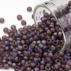 TOHO Round Seed Beads SEED-XTR08-0166BF-1