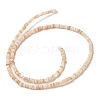 Natural Freshwater Shell Beads Strands SHEL-P017-01B-10-2