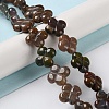 Natural Indian Agate Beads Strands G-M418-D09-01-2