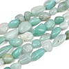 Natural Amazonite Nuggets Beads Strands G-J335-31B-2