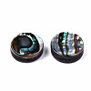 Natural Abalone Shell/Paua Shell Beads SSHEL-T014-14B-2