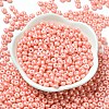 Baking Paint Luster Glass Seed Beads X1-SEED-B001-04A-08-2