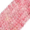 Natural Rose Quartz Dyed Beads Strands G-B046-07-8mm-01-2