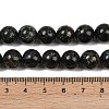 Natural Seraphinite Beads Strands G-H337-A03-05-5