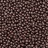 6/0 Glass Seed Beads SEED-L011-08A-08-3