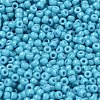 MIYUKI Round Rocailles Beads SEED-G008-RR4478-2