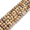 Electroplated Natural Tiger Eye Round Beads Strands G-L598-A04-01-1