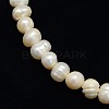 Natural Cultured Freshwater Pearl Beads Strands LS-PEAR-L001-C-14-2