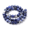 Natural South Africa Sodalite Beads Strands G-S259-35-6mm-2