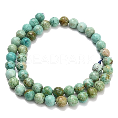 Natural Peruvian Turquoise(Jasper) Beads Strands G-L642-B08-8mm-1