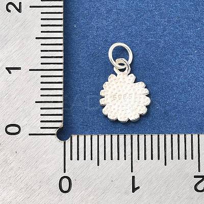 925 Sterling Silver Charms STER-Q003-01A-S-1
