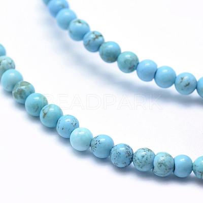 Natural Magnesite Beads Strands TURQ-G148-07-4mm-1