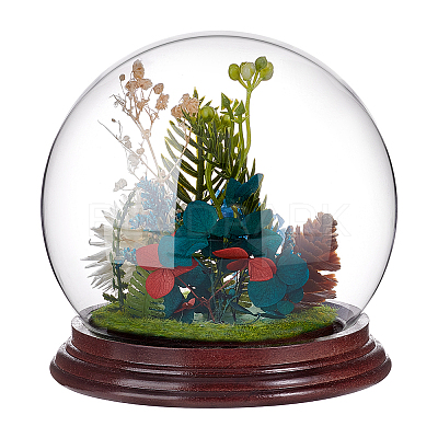 Glass Dome Cover ODIS-WH0078-40-1