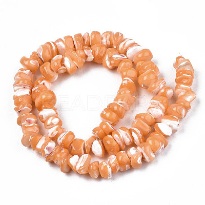 Natural Freshwater Shell Beads Strands SHEL-N003-23-B06-1