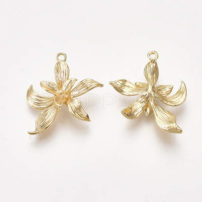 Brass Pendants KK-S350-199-1