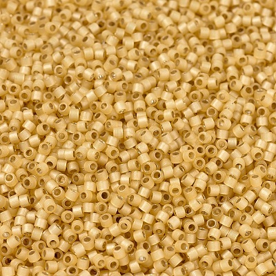 MIYUKI Delica Beads SEED-X0054-DB2186-1