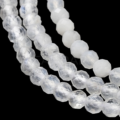 Natural Rainbow Moonstone Beads Strands X-G-J400-E12-01-1