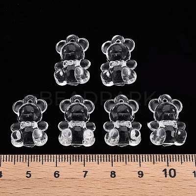 Transparent Acrylic Pendants TACR-S151-01B-205-1