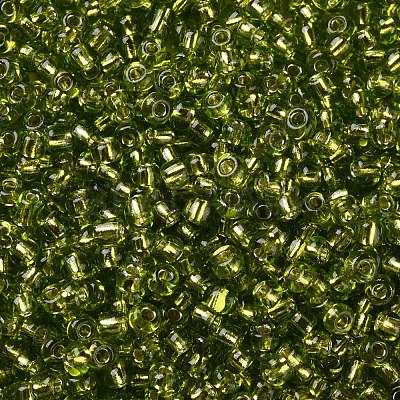 8/0 Glass Seed Beads SEED-A005-3mm-24-1