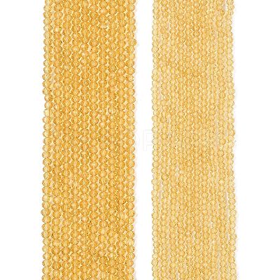 Glass Beads Strands EGLA-A044-T2mm-D03-1
